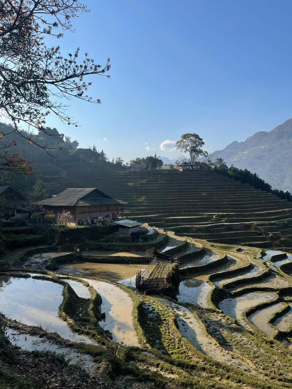 Sapa Eco Hugo Bed & Breakfast Dış mekan fotoğraf